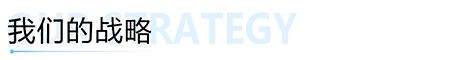 我們的(de)戰略.png